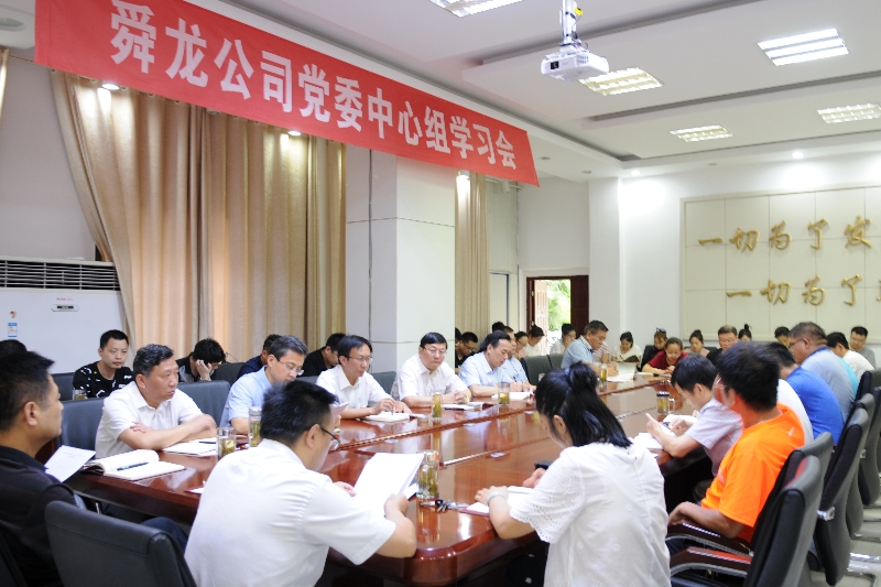 舜龍公司召開“講忠誠、嚴(yán)紀(jì)律、立政德”專題警示教育動員會